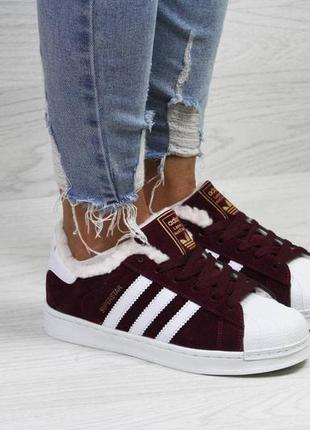 Женские кроссовки adidas superstar бордовый зимний мех скидка sale  ⁇  женские кроссовки зима smb