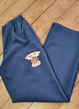Спортивные брюки для мальчика "тигр"