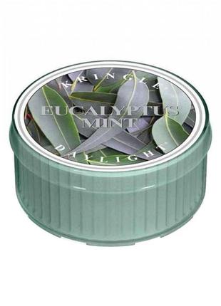 Ароматическая свеча kringle candle eucalyptus mint