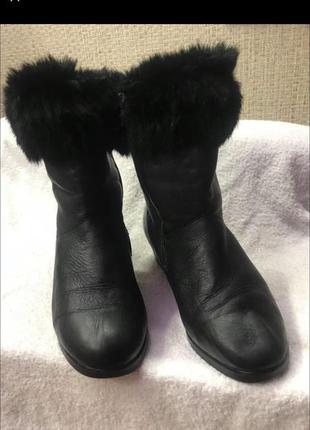 Сапоги натуральные 36