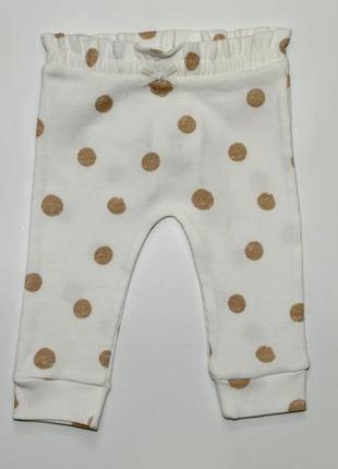 Штаны для девочки 3-6м (62-68 см) белые в горох george 2470