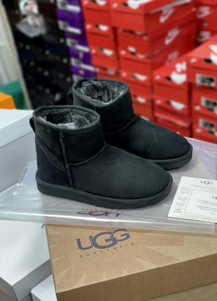 Женские угги Ugg Australia Boots D Brown Leather Shearling Lined Strapped
