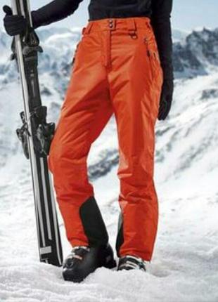 Термо штаны лыжные crivit sports, размер 52 евро