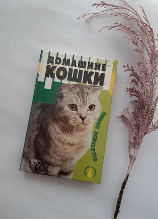 Домашні кішки 💕🐈🐾 2000 рік наташа крилова домашні улюбленці коти