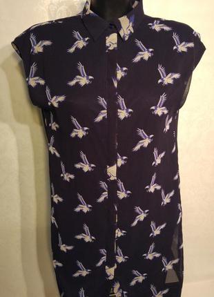 Клевое платье рубашка "шифон" на пуговицах принт орлы zara