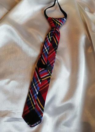Гарненька краватка 3