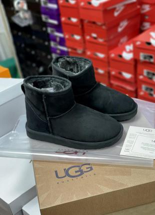 Угги ugg classic mini ii boot❄️, чоботи, сапоги зимние замшевые