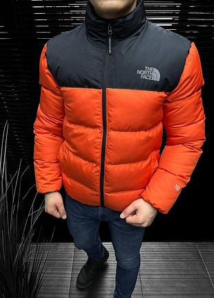 Зимовий пуховик the north face