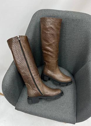Чоботи alf труби натуральная шкіра осінь зима \сапоги трубы натуральная кожа питон осень зима