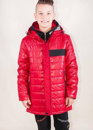 Куртка красного цвета для мальчика (116 см.)  venidise 2125000719344