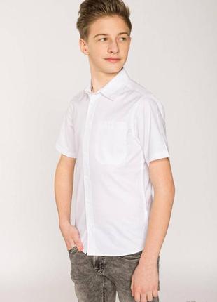 Рубашка белая с короткими рукавами (140 см.)  reporter young 5900703698298
