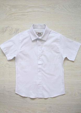 Сорочка з коротким рукавом для хлопчика (116 див.) a-yugi jeans 2125000618883