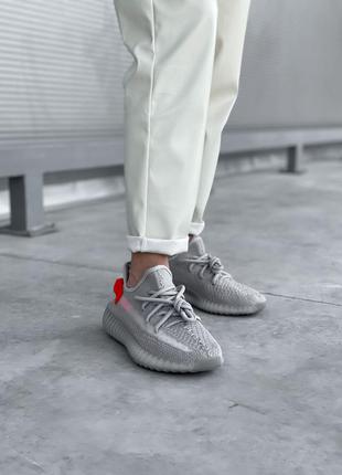 Кроссовки adidas yeezy boost 3505 фото