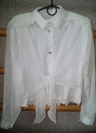 Блузка белая с прозрачными рукавами3 фото