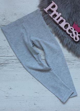 Лосины next 5 лет