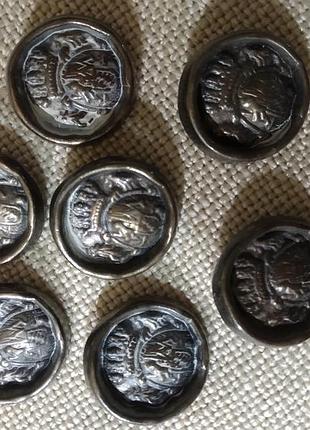 Набор металлических пуговиц: 7 шт диаметр 2,1 см