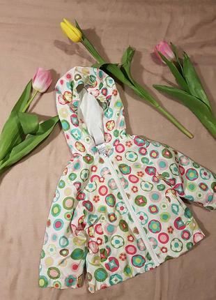 Яскрава курточка-вітровка bundle joy.12м