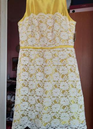 Новое платье с гипюром taylor