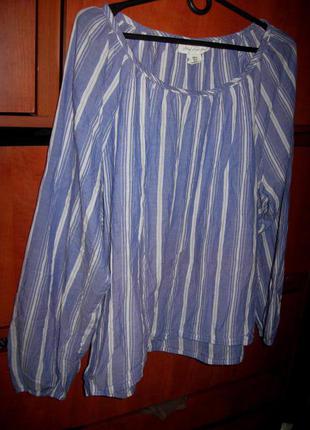 Блуза смужка біло-блакитна