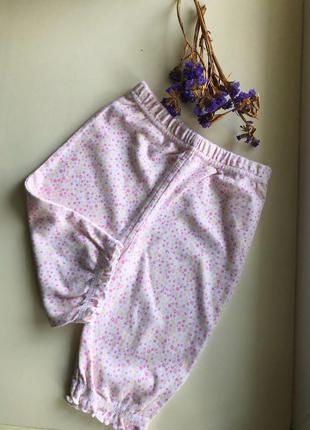 Спідниці, штани, штанці