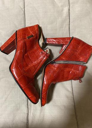 Ботинки крокодил кожа mauri donna3 фото