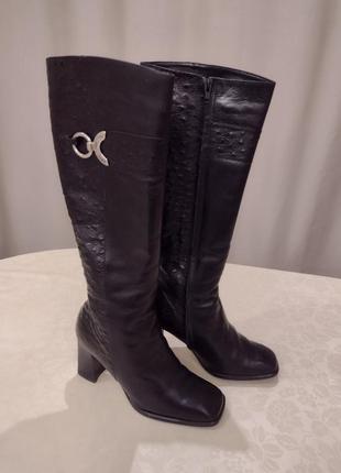 Жіночі зимові чоботи enrico jibillieri