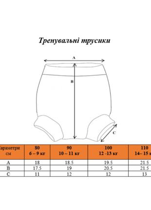 Тренувальні трусики / тренувальні труси / тренувальні трусики / тренувальні труси5 фото