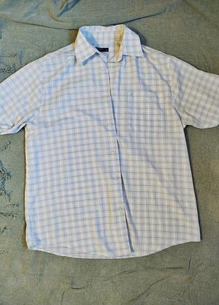 Рубашка в клетку светлая
