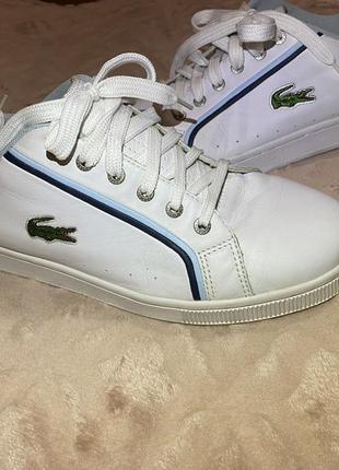 Кросівки lacoste2 фото