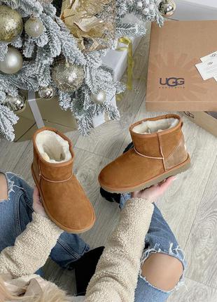 Ugg classic mini ii boot❄️ жіночі зимові уггі
