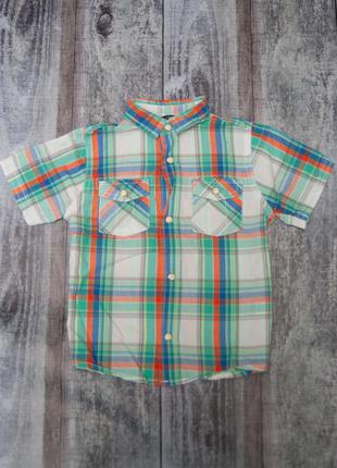 Рубашка шведка с коротким рукавом george на 3-4 года