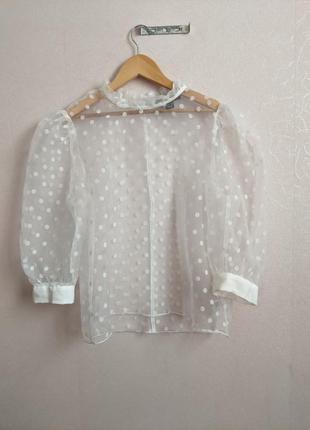 Прозрачная блуза в горох с широкими рукавами1 фото