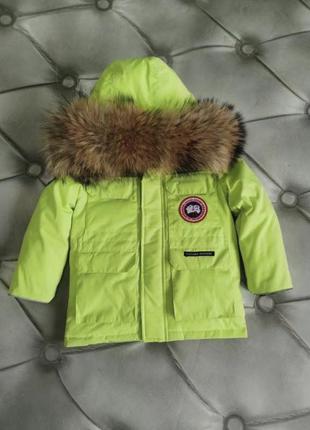 Зимний комбинезон canada goose!3 фото