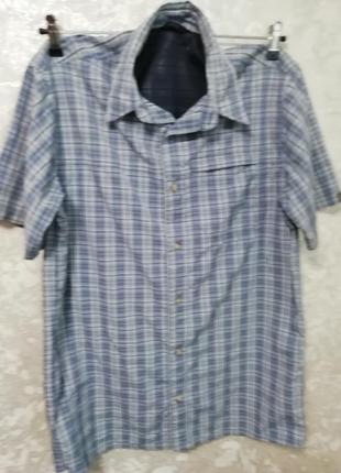 Тениска чоловіча