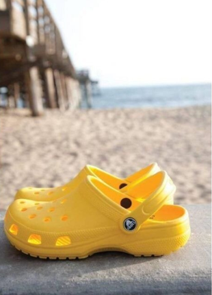 Crocs classic yellow жовтi крокси сабо2 фото