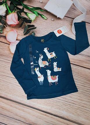 Кофта реглан свитшот