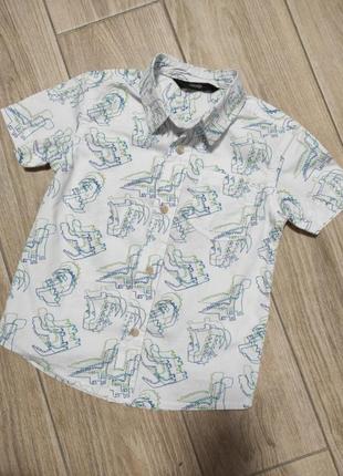 Красивая рубашка в динозаврах