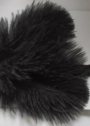 Пов'язка з пір'ям в стилі гетсбі