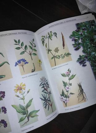 Лікарські рослини. енциклопедія4 фото