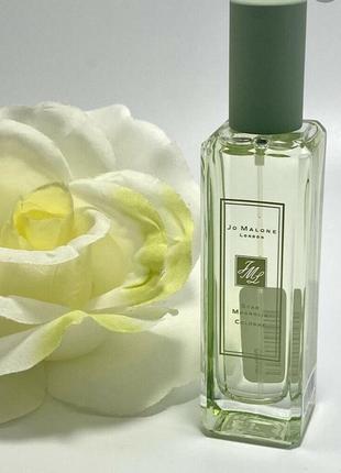 Star magnolia cologne (2019) jo malone london для мужчин и женщин1 фото