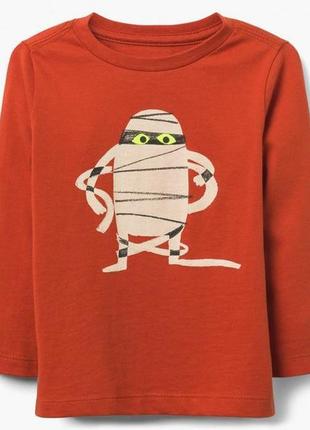 Реглан лонгслив gymboree 2т