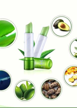 Бальзам для губ алоэ вера aloe vera 99% magic lip5 фото