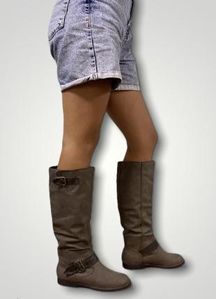Високі чоботи демісезонні
