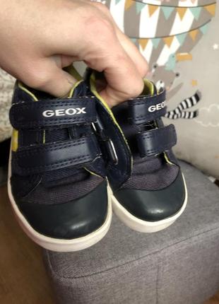 Кеди кросівки черевики geox5 фото