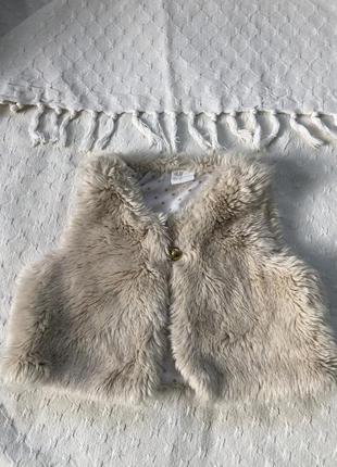 Жилетка