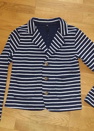 Шерстяной полосатый жакет блейзер dangerfield stripes jackets xxs-xs