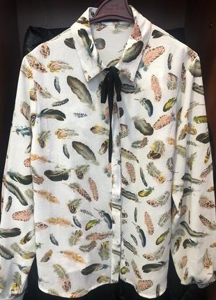 Блуза segarhill