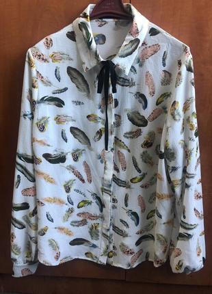 Блуза segarhill2 фото