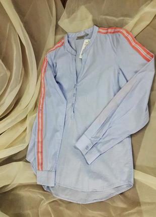 Ніжно-блакитна блузка, сорочка від blue motion, німеччина, р-р s 36-38 євро (наш 42-44)7 фото