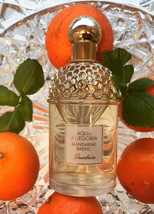 dolce& gabbana the one essence,75 мл